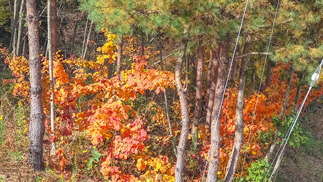 IMG_20221105_102152944_edited_ex