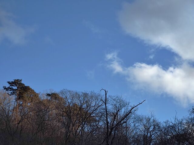 IMG_20220206_161137496