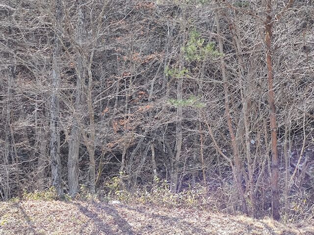 IMG_20220312_122434690