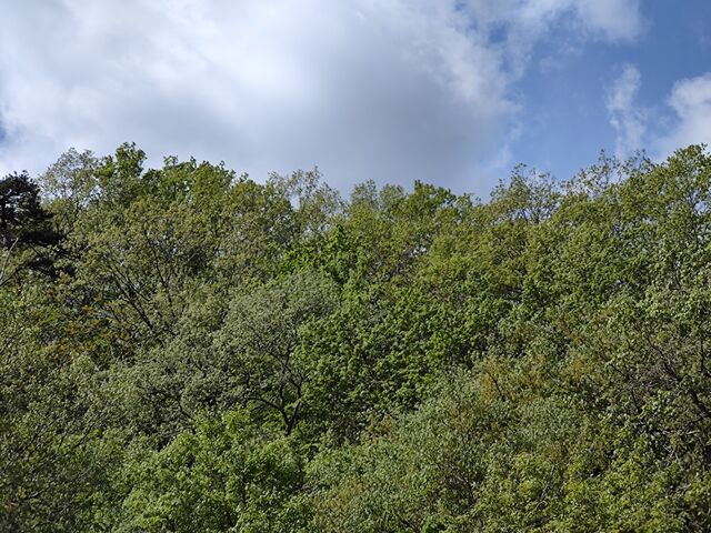 IMG_20220503_101517513