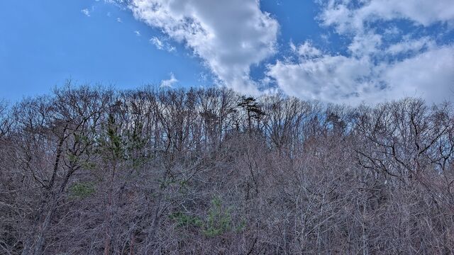 PXL_20260316_020645419