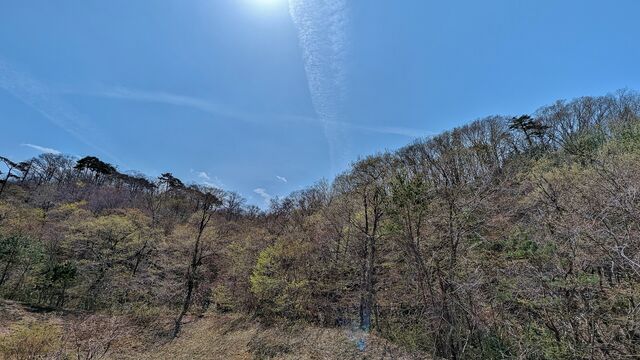 PXL_20250419_020111720