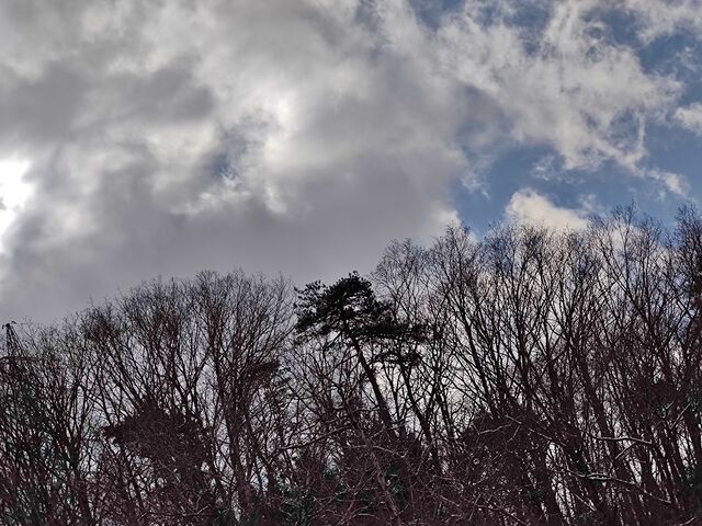 IMG_20220205_131806829