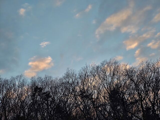 IMG_20220129_164131792