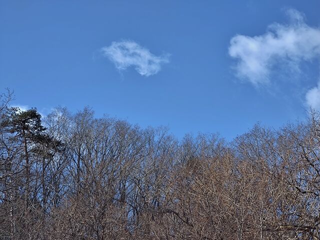 IMG_20220129_095453423