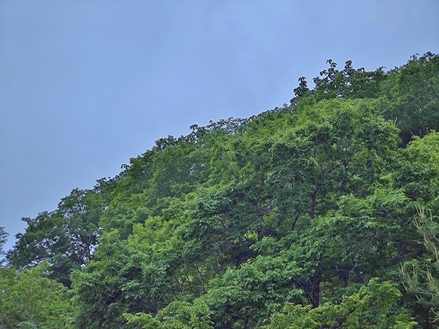IMG_20220525_183550402