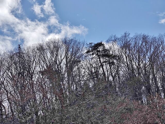 IMG_20220416_125842927