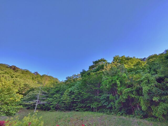 IMG_20220524_172615324_HDR