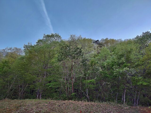 IMG_20220428_175501005_HDR