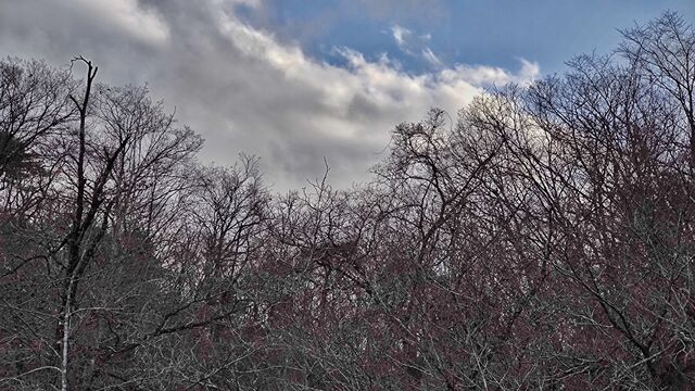IMG_20221204_144714188-01