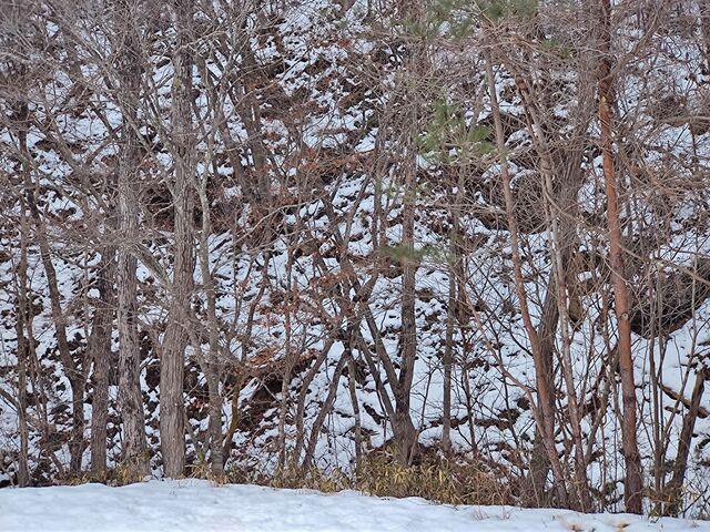 IMG_20220219_102902252