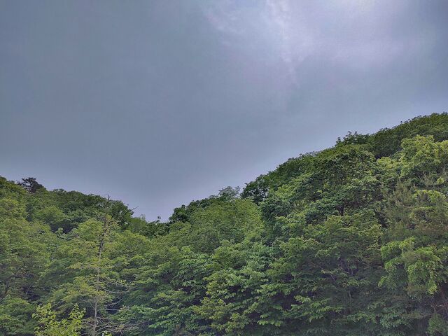 IMG_20220521_131128224_HDR