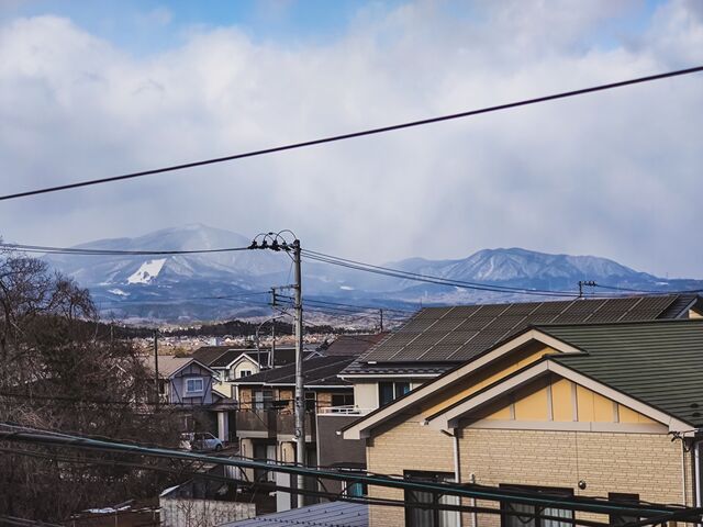 IMG_20220122_133202269_edited