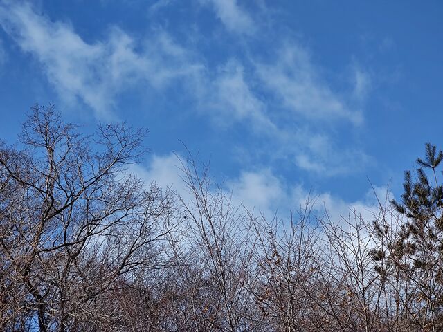 IMG_20220129_095551944