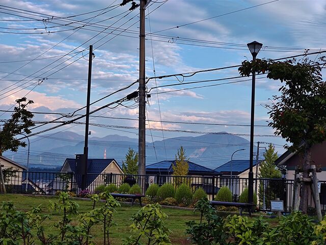 IMG_20221004_064247387