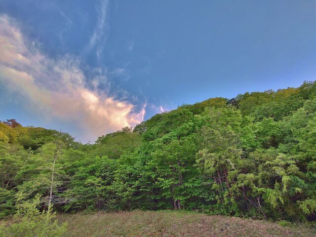 IMG_20220509_181135452_HDR