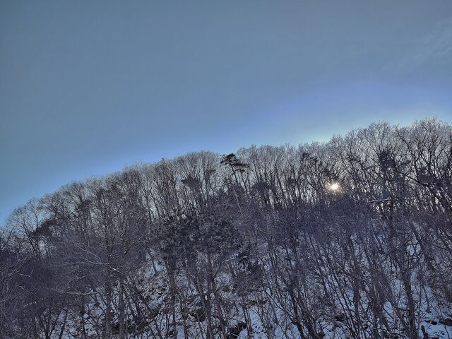 IMG_20220223_155055543_HDR