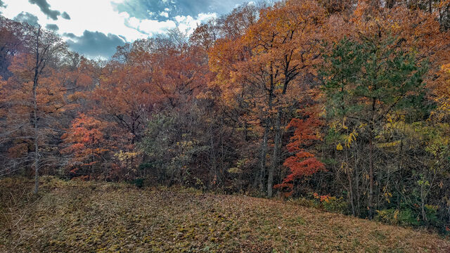 IMG_20221119_102222761_HDR_edited992