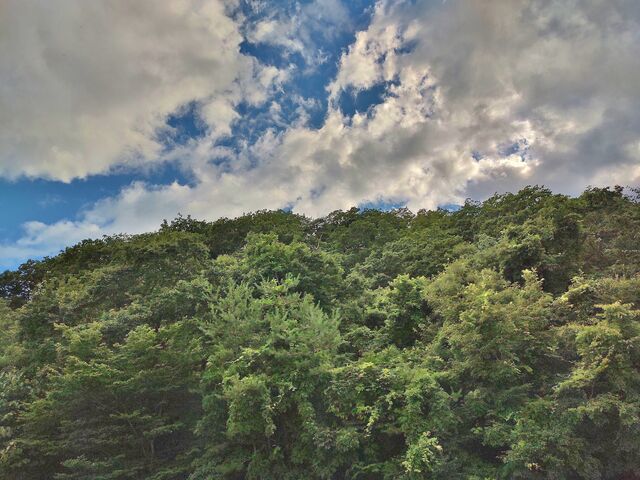 IMG_20220723_163146242_HDR