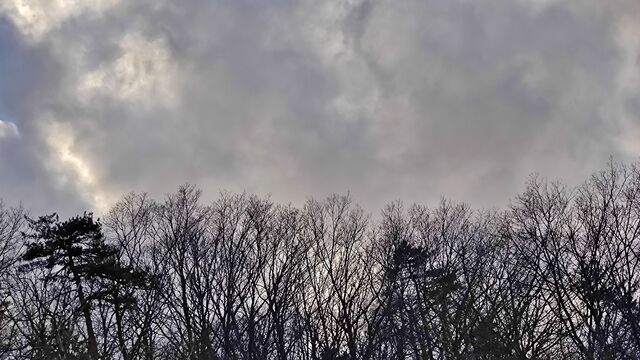 IMG_20221230_143735915