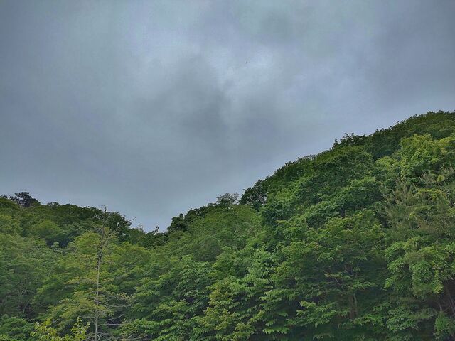 IMG_20220525_183505369_HDR