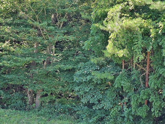 IMG_20220910_101925888