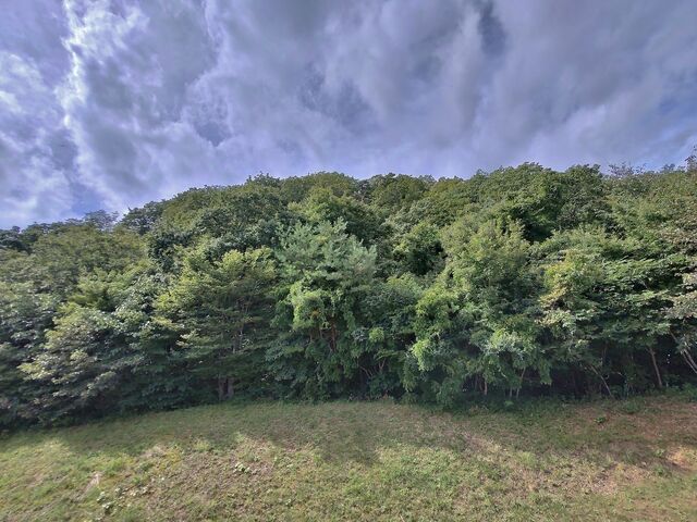 IMG_20220918_101511949_HDR