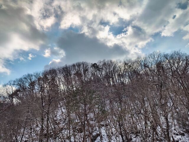 IMG_20220211_143550313_HDR_edited