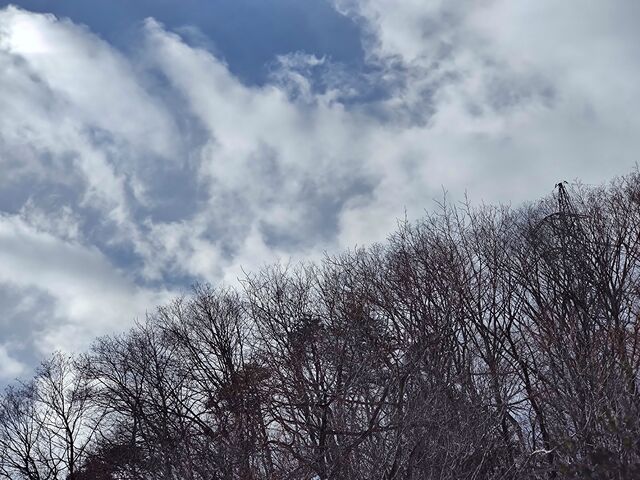 IMG_20220206_103425310