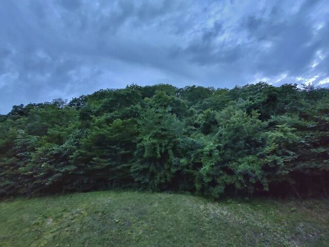 IMG_20220902_181004254_HDR