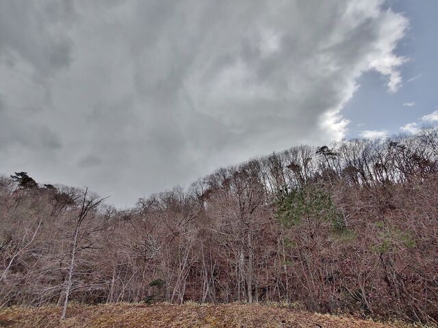 IMG_20220331_131551558_HDR