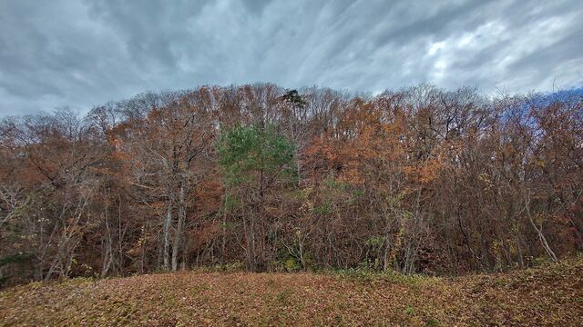 IMG_20221126_115031917_HDR