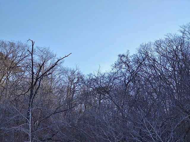 IMG_20220123_143348670