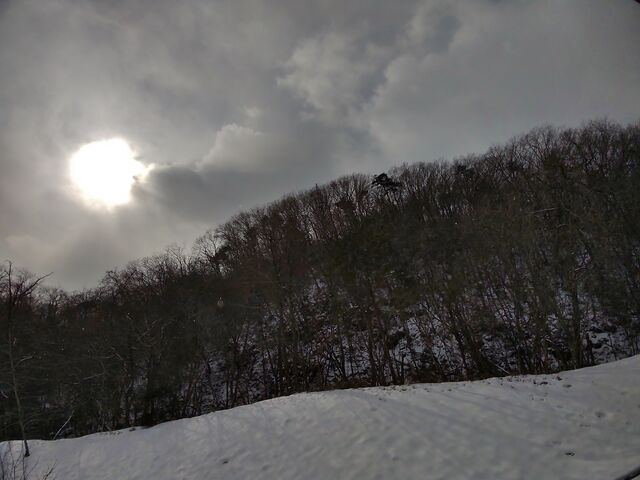 IMG_20220206_113318955