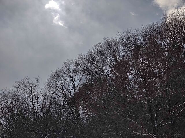 IMG_20220223_122135305