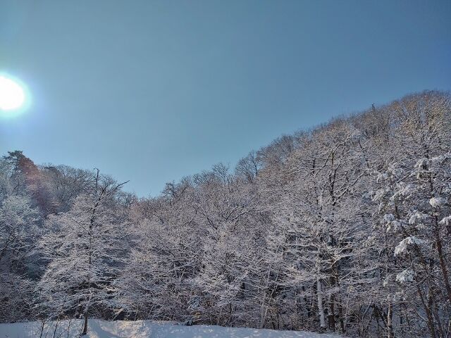 IMG_20220211_094934550 (640x480)
