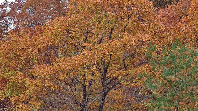 IMG_20221113_101600780
