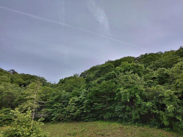 IMG_20220614_181229942_HDR