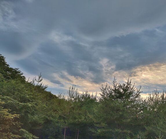 IMG_20220628_183217371_HDR - コピー