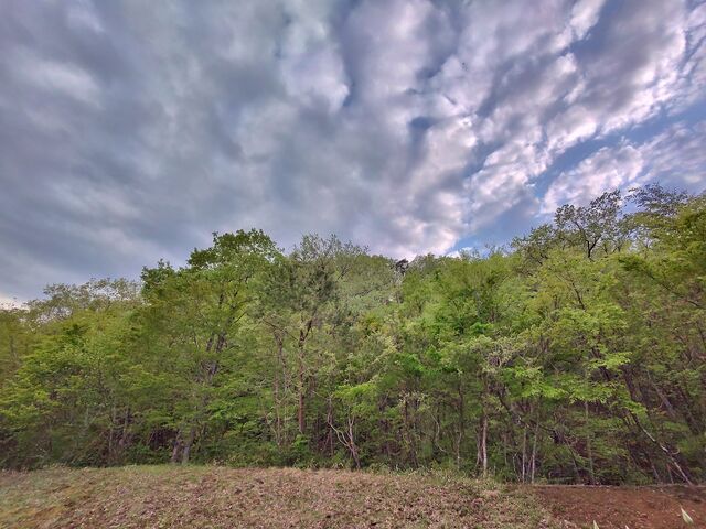IMG_20220502_171050218_HDR