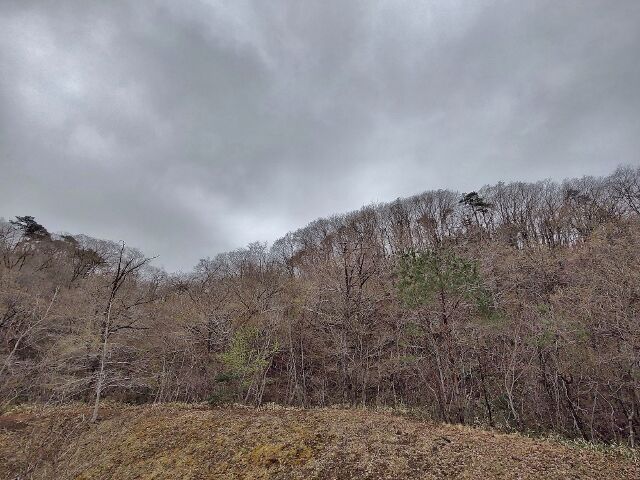 IMG_20220416_102649825_HDR (640x480)