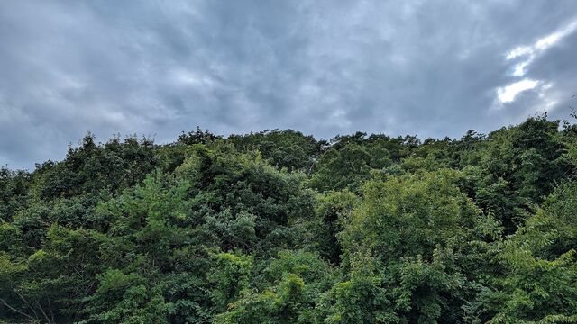 PXL_20250908_061705617