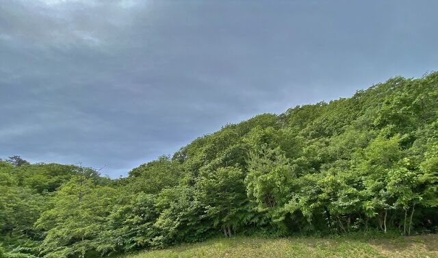 IMG_4314 (640x377)