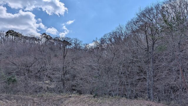 PXL_20260316_020649660