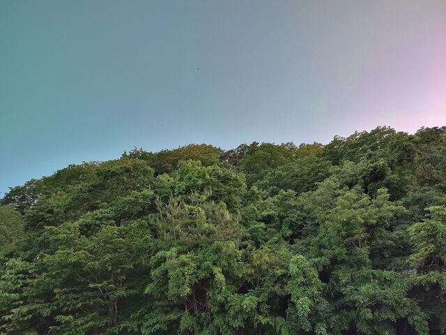 IMG_20220524_183036312_HDR