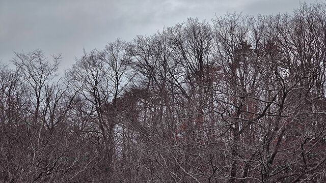IMG_20230114_114704521