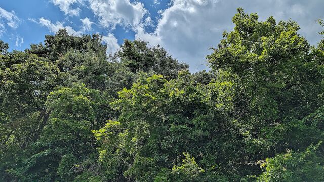 PXL_20250605_021037657
