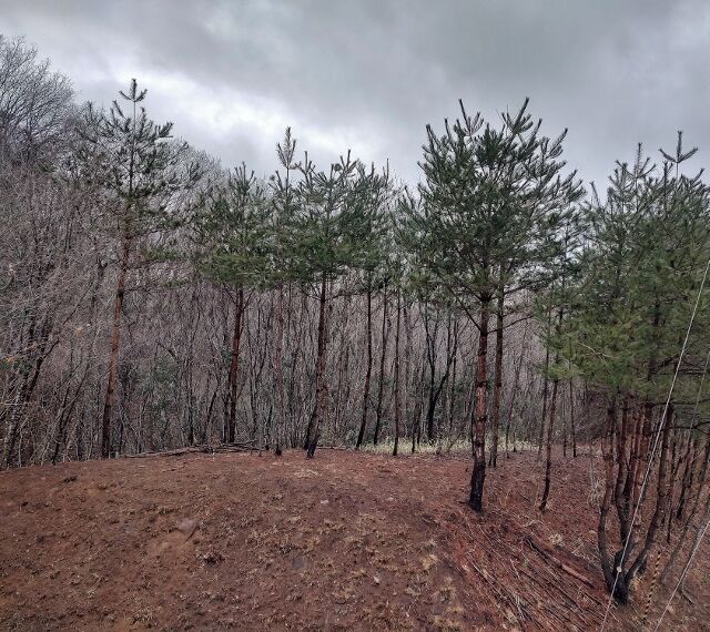 IMG_20220405_090620582_HDR (640x570)
