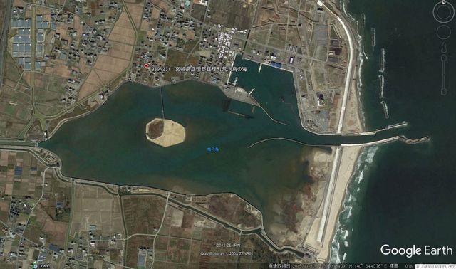 鳥の海