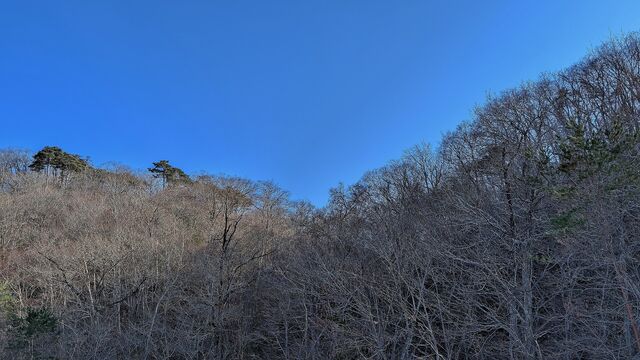 PXL_20250309_060447984